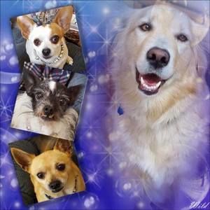 Meet your Posher, Cheryl